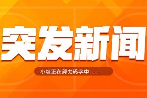 巴拉圭vs法国/瑞典_巴拉圭vs法国/瑞典在线观看_巴拉圭vs法国/瑞典免费高清直播