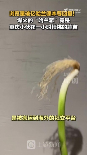 极速超鹰广州FCvs广东客家青年_极速超鹰广州FCvs广东客家青年无插件直播_极速超鹰广州FCvs广东客家青年免费高清观看